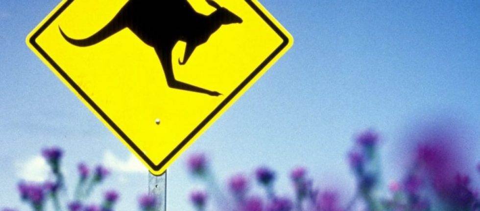 Yellow kangaroo crossing sign against a blue sky with purple wildflowers in the foreground.