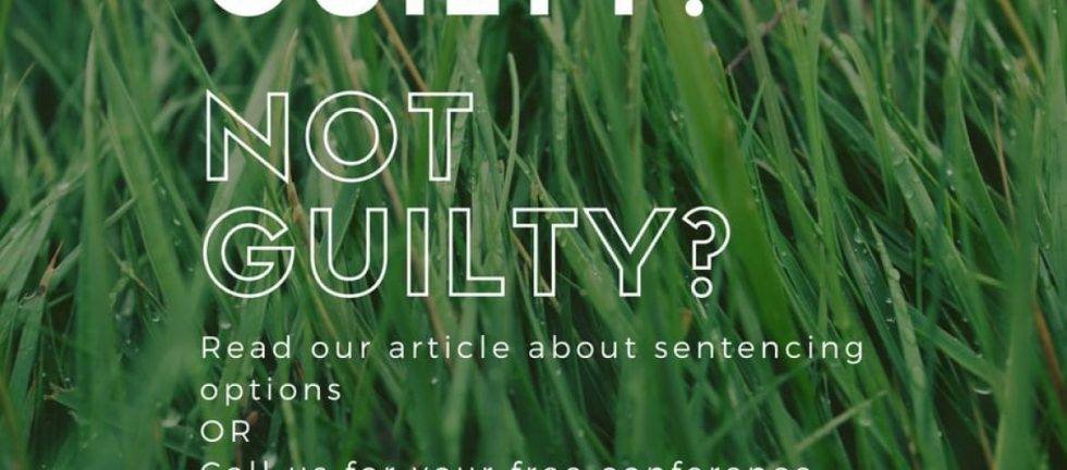 Not Guilty? Learn about sentencing options.